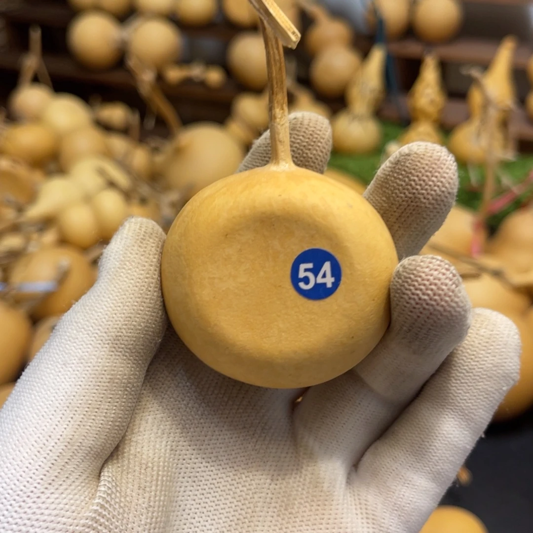 闪拍葫芦链接-54号品