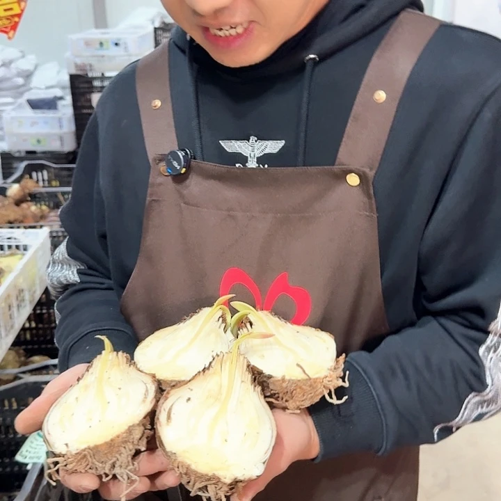 垨***護蒂卡帝国4个半拉球