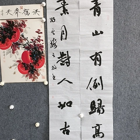 【闪购商品】书法大对联欣赏138.23.2