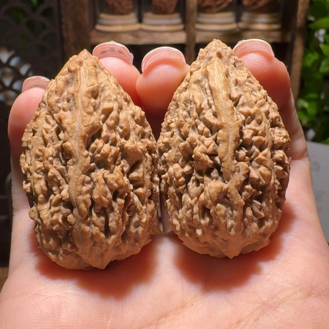 醉***哥把件文玩核桃蚂蚁棍