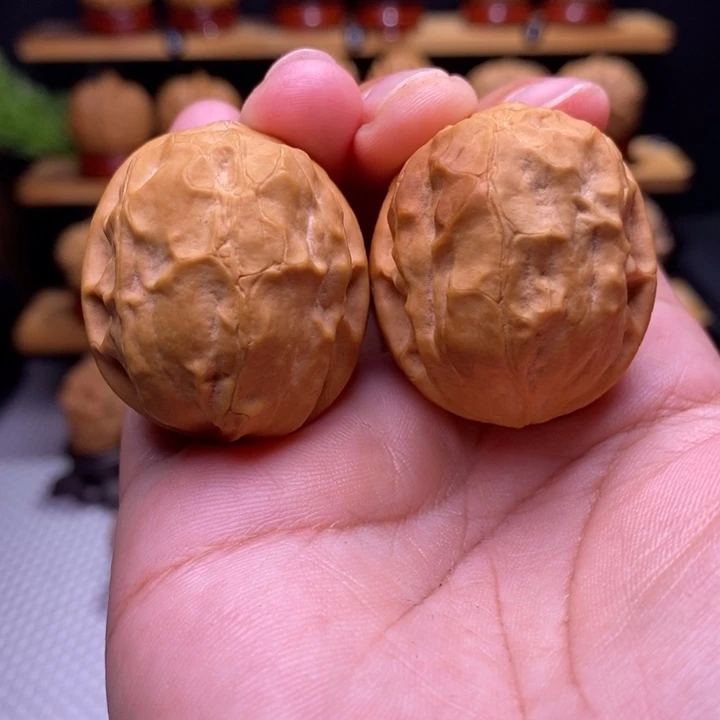 核桃云铁甲壳虫38号