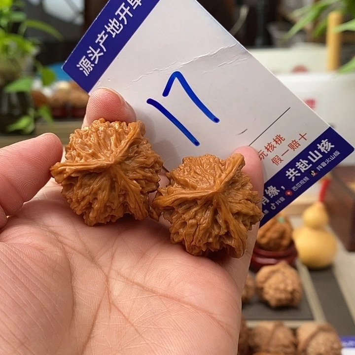 把件文玩核桃33天然盘山自然桩奔17号
