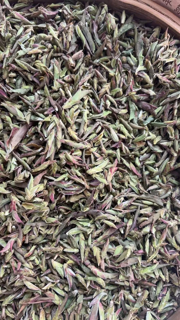 【CN438】2025年【紫芽苞】普洱茶生茶散茶