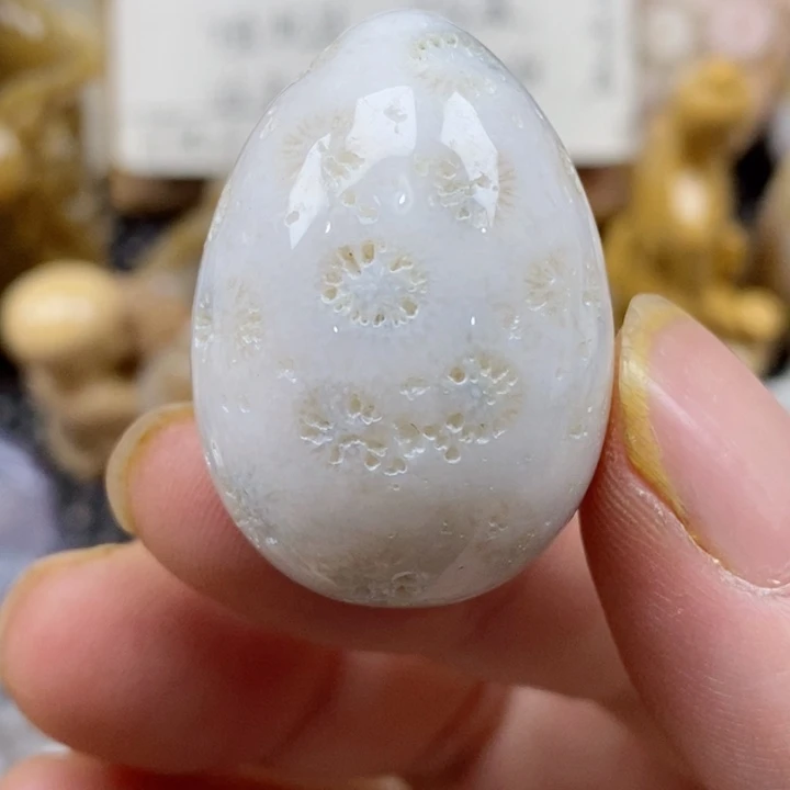 颈饰未镶嵌硅化珊瑚（珊瑚玉）有瑕