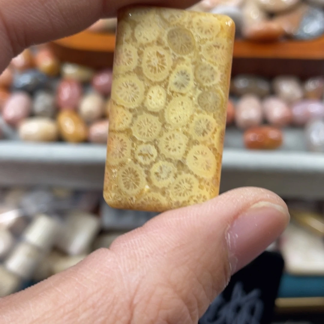 未镶嵌手镯硅化玉