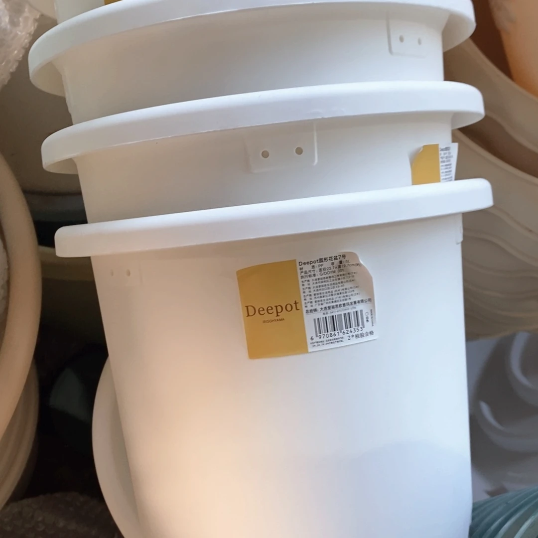 4个爱丽丝7号白色无托（23.7×19.7）