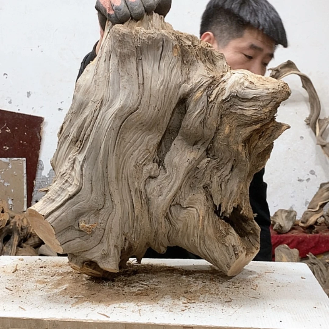 【闪购商品】柏木龙*东我们都是好孩子