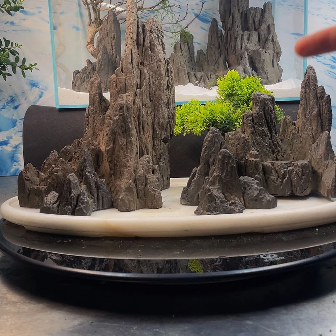 888云门仙台鱼缸造景