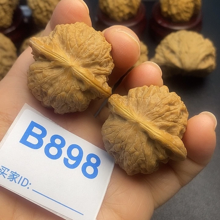 核桃血麒麟3.7，有修