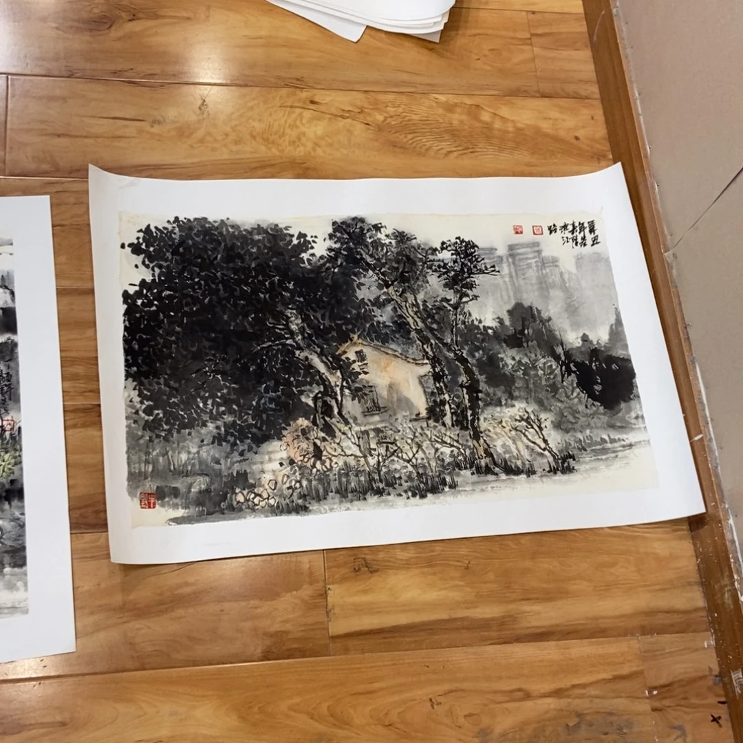 【闪购商品】国画用****0墨鱼精品墨鱼精品