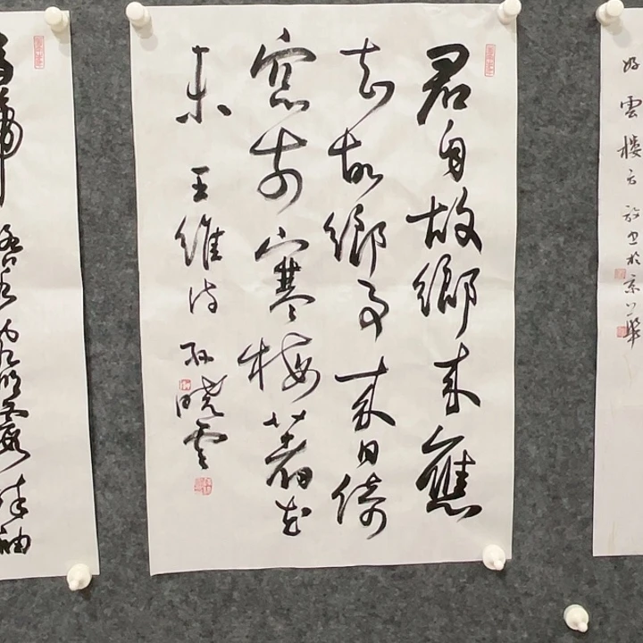 横款明月轩1111111