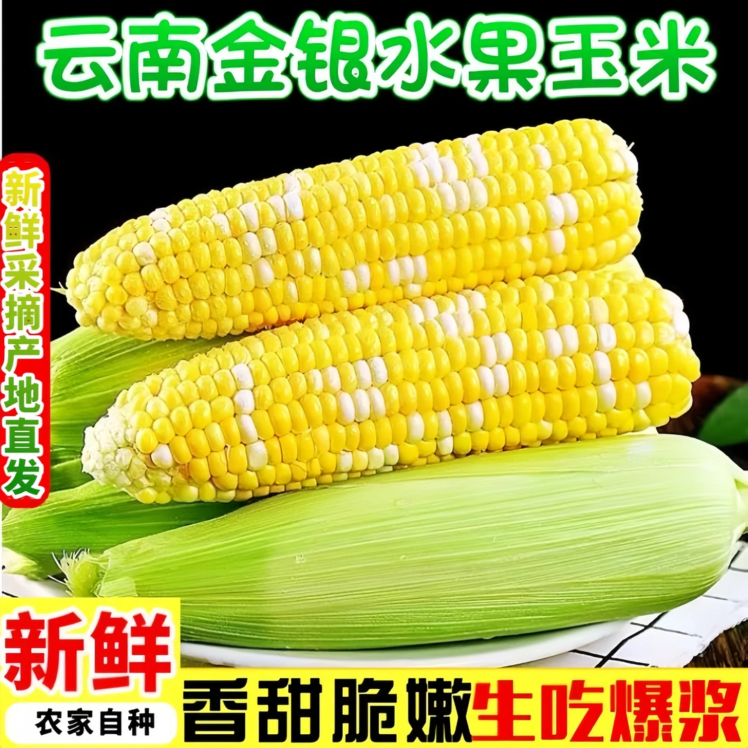 正宗云南金银双色水果玉米甜脆新鲜现摘金银代餐甜玉米可生吃