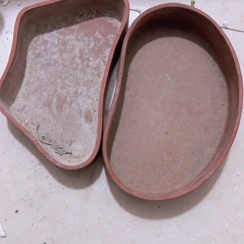 香榧木茶*球Fghfhhvghvghvcv