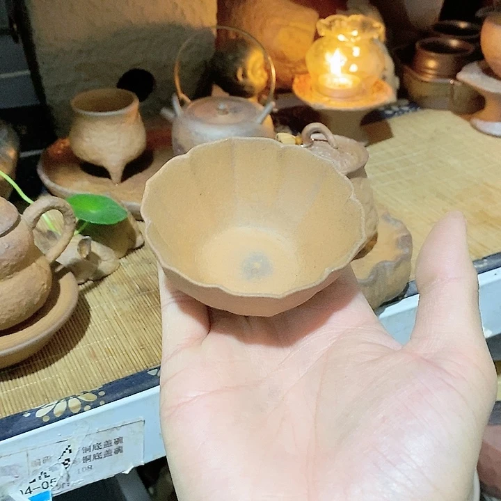 瓷片荷花的一种色彩和颜色一样鲜艳亮丽