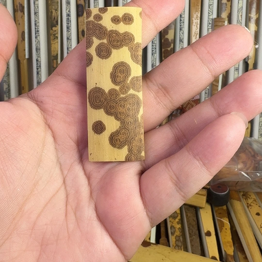 扇子小竹排绿春料