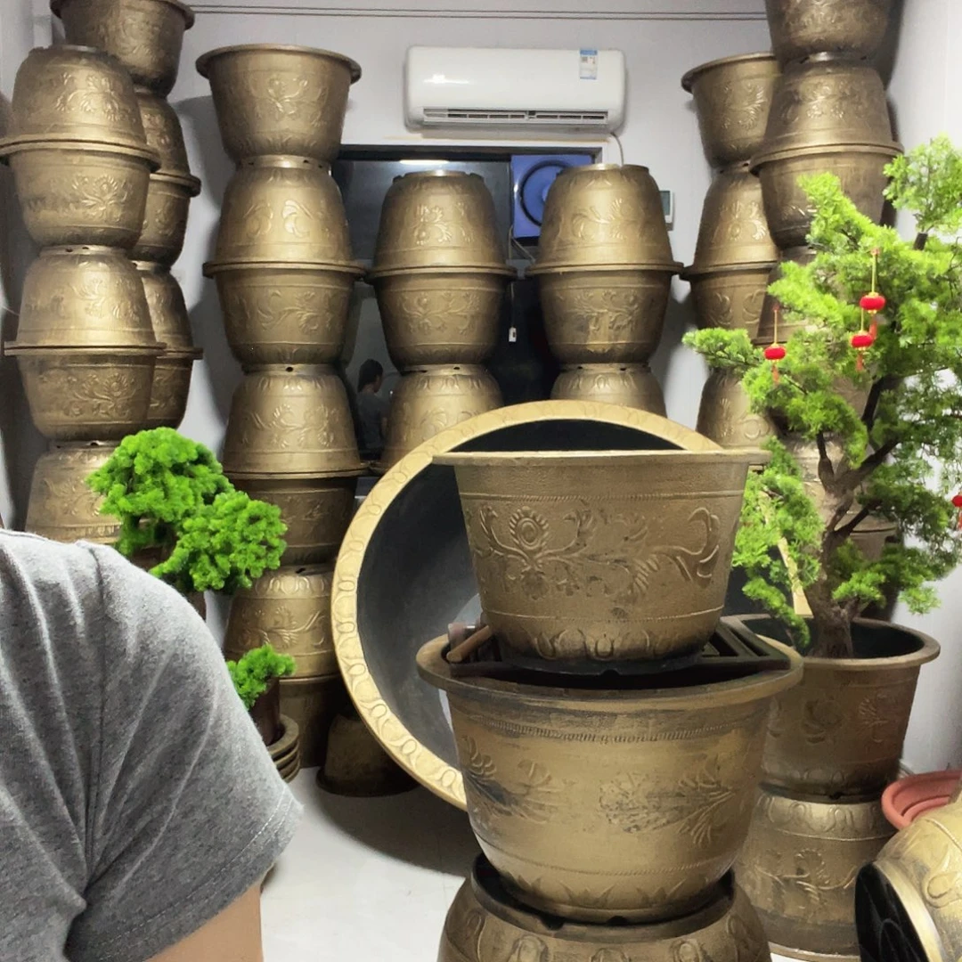 2个50盆栽！2个50盆栽！