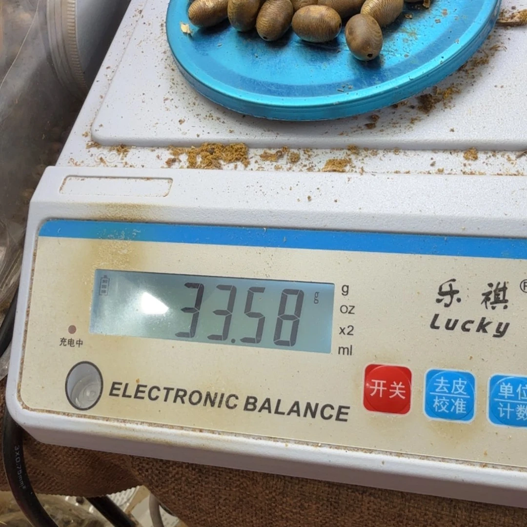 沉香沉香碎屑开****天奇楠沉香金沙叶留疤42颗 33.5克