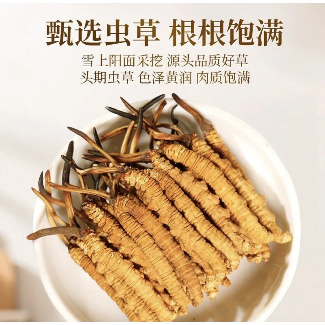 虫草生态冻干整条1条/独立瓶装