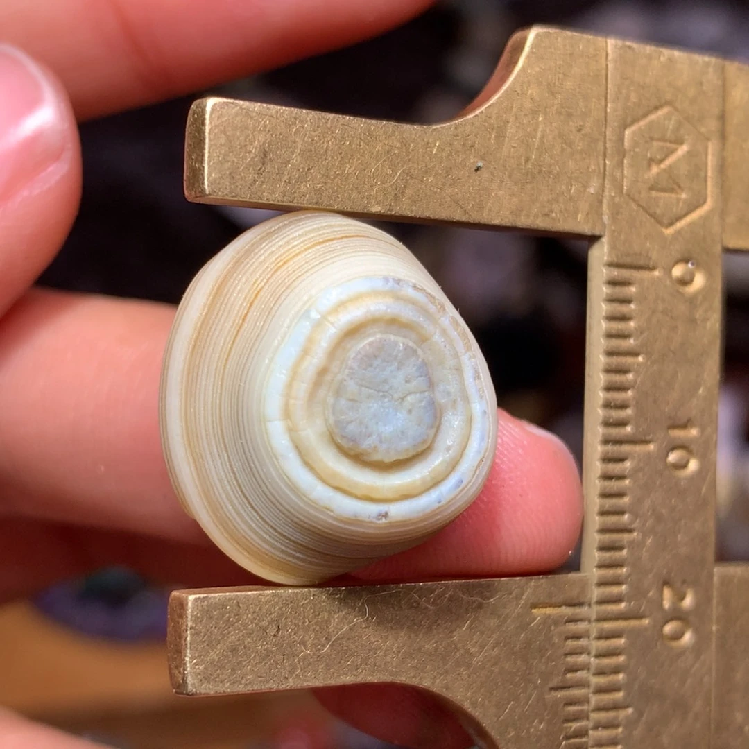 未镶嵌玛瑙/玉髓珠宝半成品