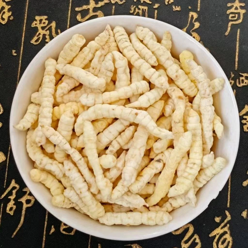 精选白虫草_小蕾专属