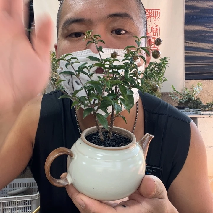 麓***无花朵退款拉黑拉黑12