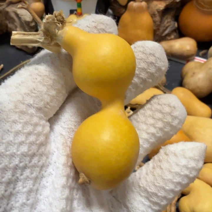 用***966666666666）hhhhhhu