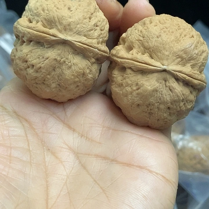 木质类云南铁核桃基地82