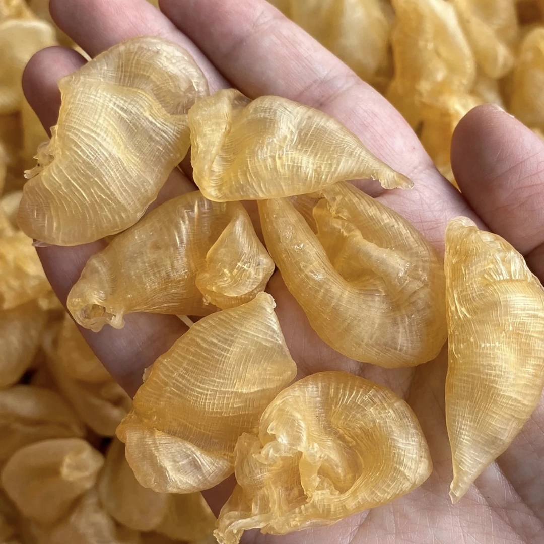 深海小个头黄花胶深海花胶鲜炖足干淡晒滋补炖汤奶冻