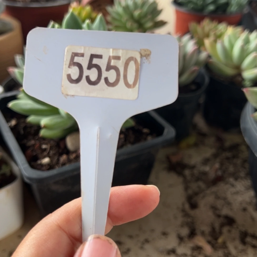 【闪购商品】用****55550。11111111