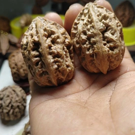 把件文玩核桃东北野生文玩核桃2