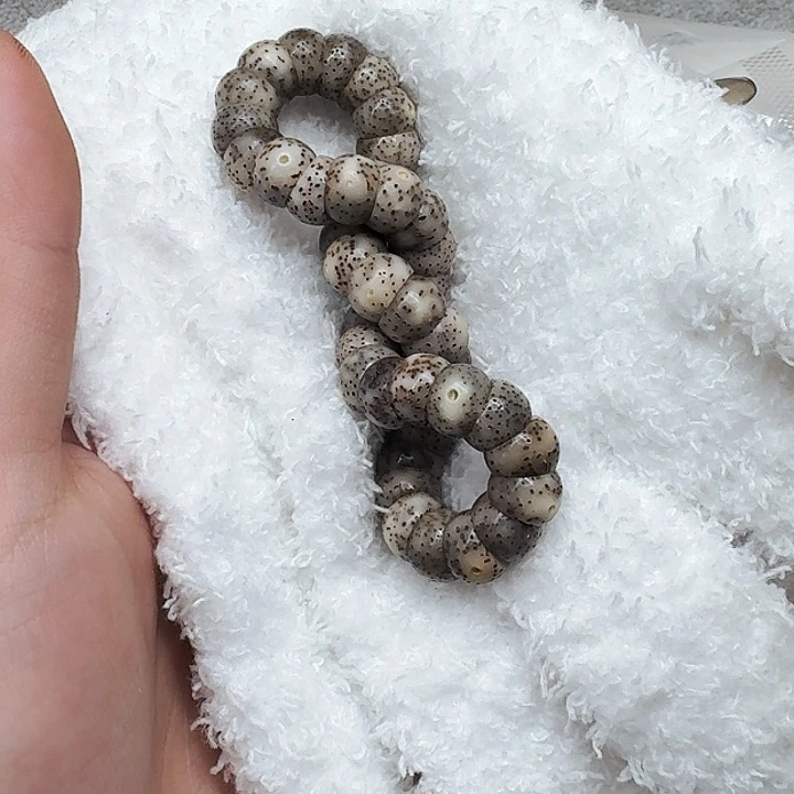 星月菩提手串310卓越星月菩提猪大肠10单圈