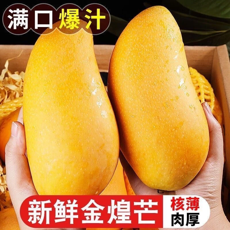 【正宗】海南金煌芒果三亚应季新鲜水果水仙芒非青芒冒