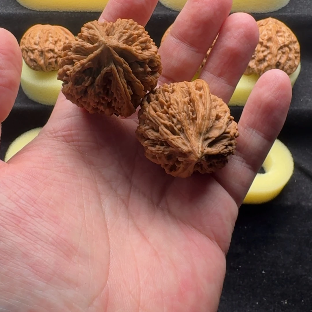 文玩核桃吊坠热*37九龙