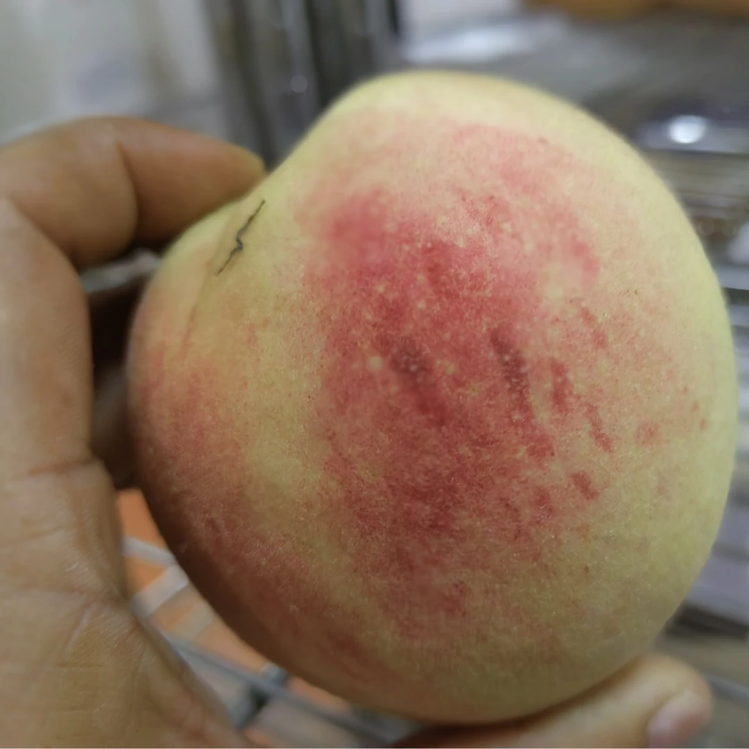 【白玉水蜜桃】香、甜、鲜、脆，桃味很浓，清香扑鼻