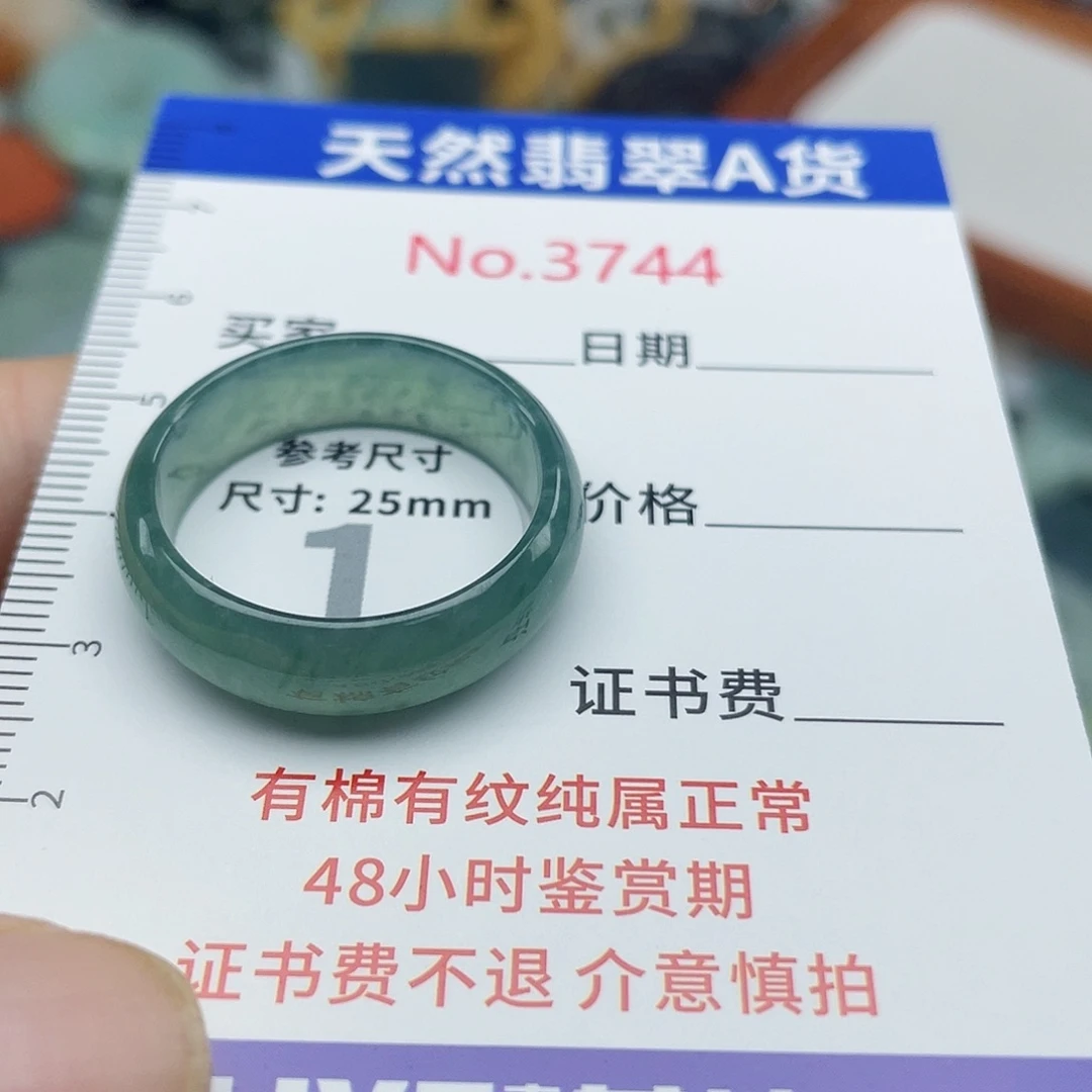 未镶嵌挂件翡翠3744
