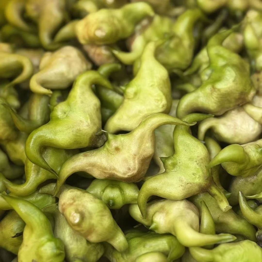 【生鲜快递】溱湖八仙水生蔬菜菱角水栗子现采头水品质粉糯香甜