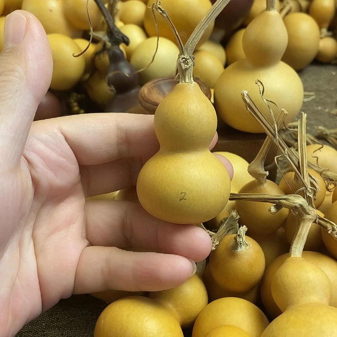 文玩葫芦 完美主义者 慎拍2