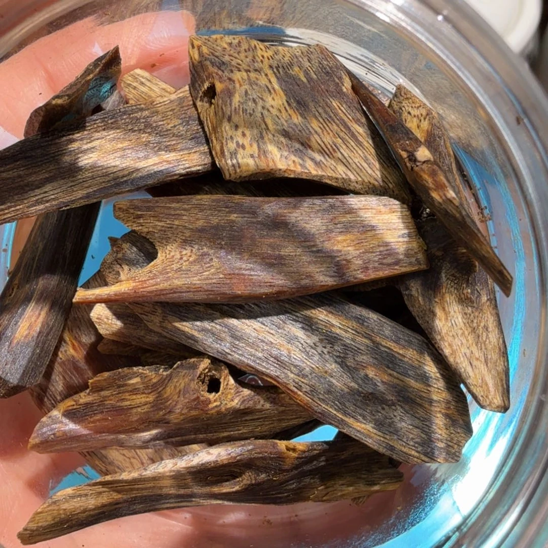 沉香碎屑沉香乌身圆叶沉水块料21克