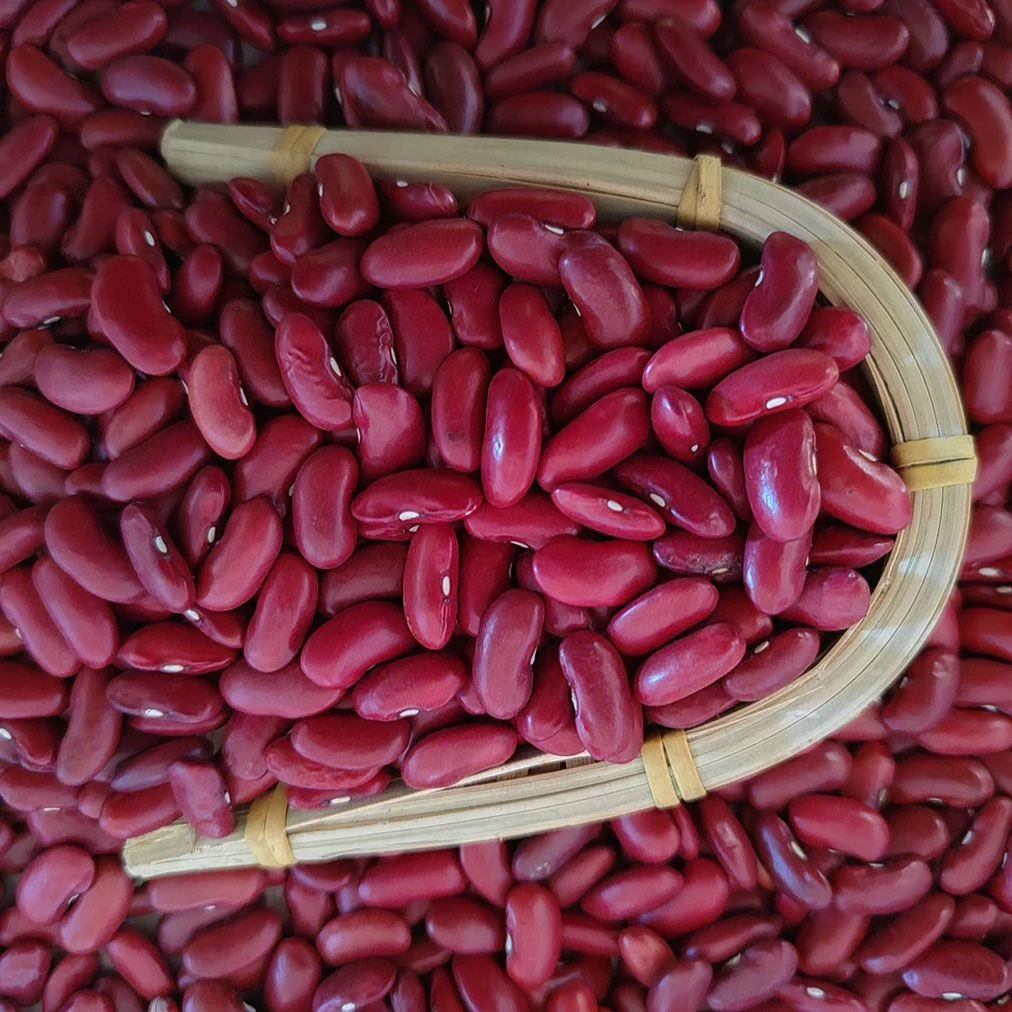 【杜家土妹】红芸豆