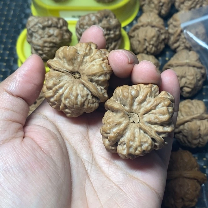 S***S文玩核桃把件蛤蟆头39