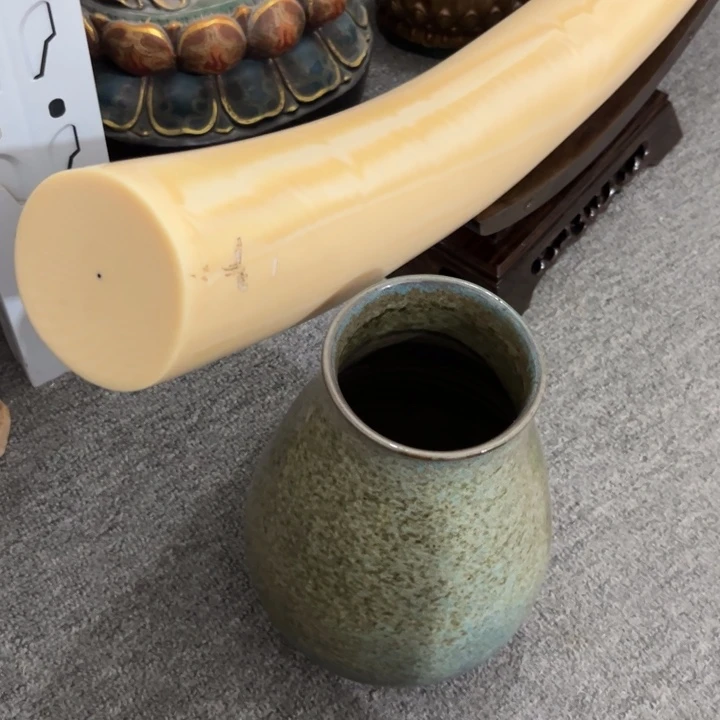 碗中**业瓷器1111111