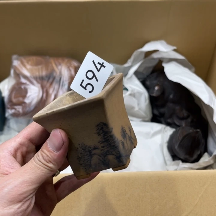 茶宠我们都在努力着改变