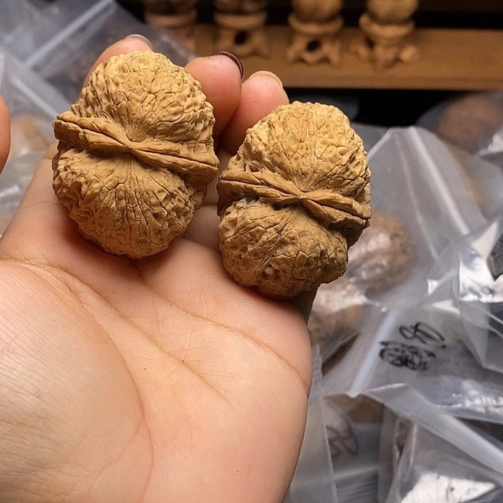 把件文玩核桃云南文玩核桃22h