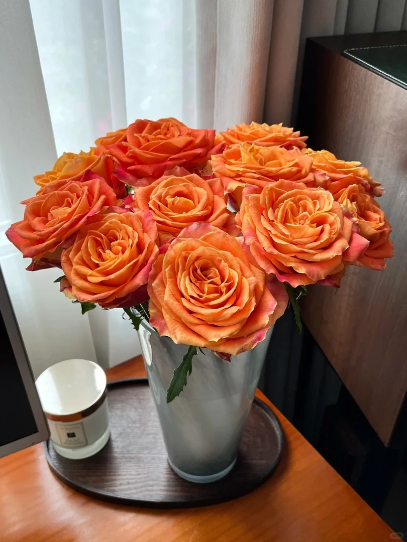 「曼曼」欢乐颂15只➕5只防损  鲜花任意满两单包邮拒收不售后