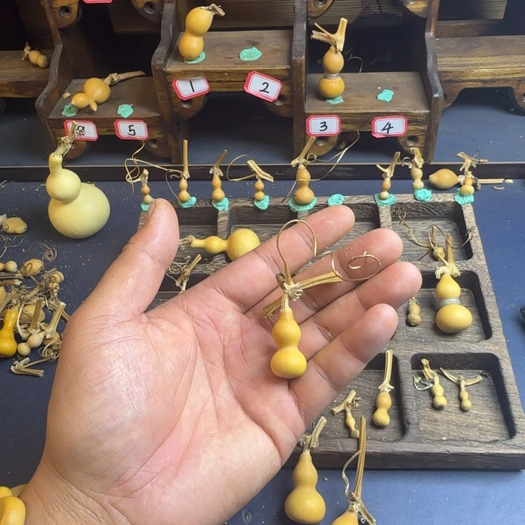 洋*洋我是一只小小鸟地域鬼的小姐姐