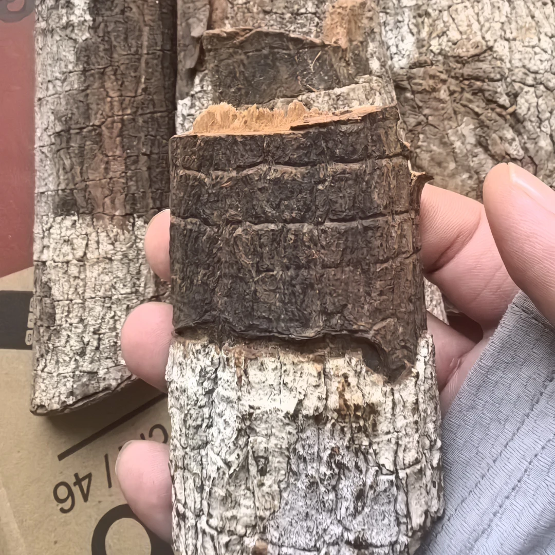 - 樟树皮 家庭装饰 无加工原皮