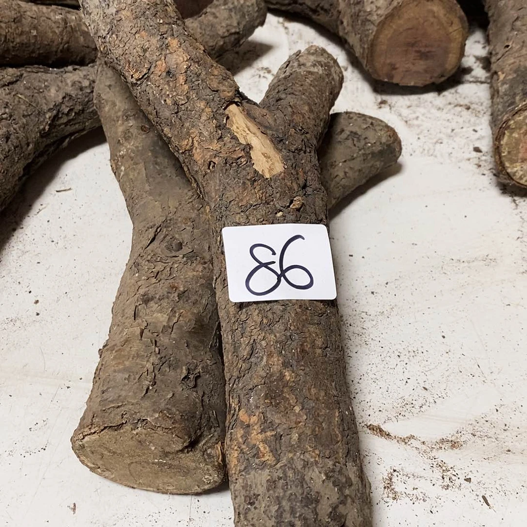 木垦*者火琉璃……火琉璃