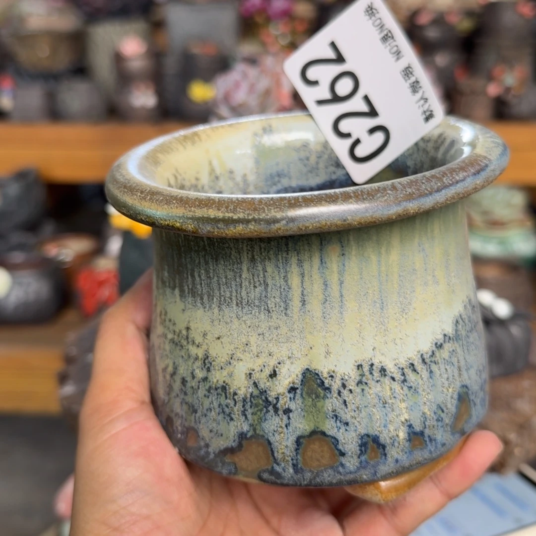 重庆小燕子欢迎大家262
