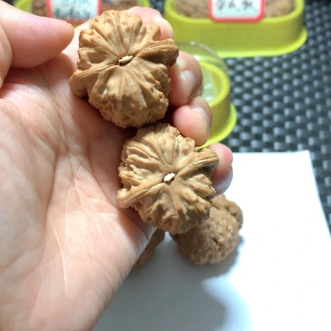 文玩核桃吊坠相****赠三角白