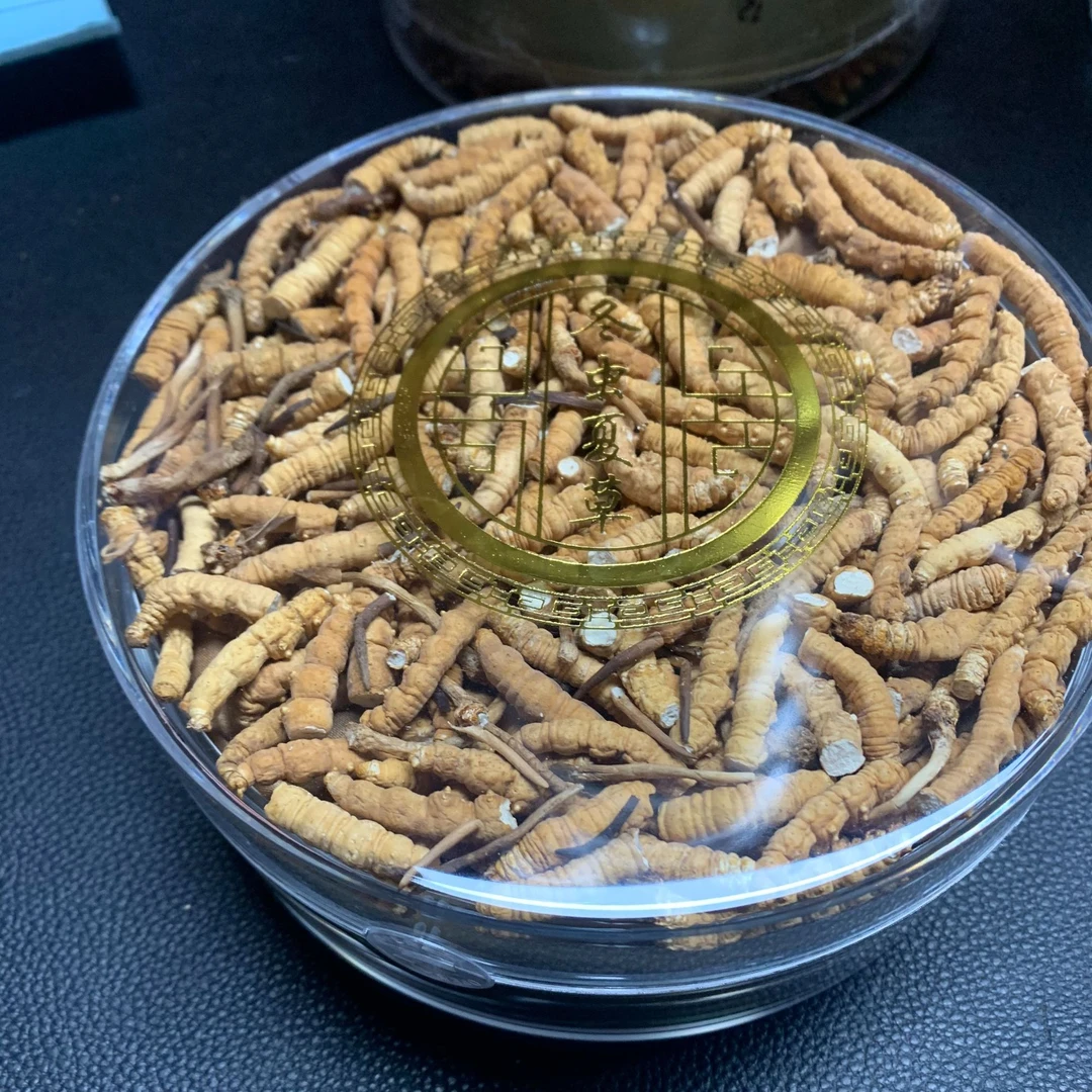 【玛朵专属】50克一级断草 2025头茬干冬虫夏草品质滋补泡酒食用